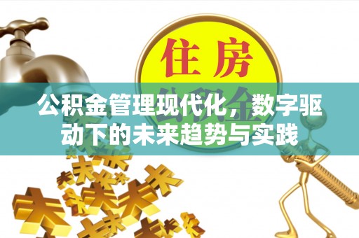 斗南公积金管理现代化，数字驱动下的未来趋势与实践