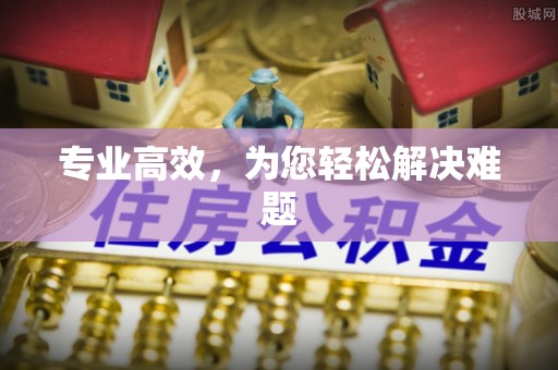 斗南专业高效，为您轻松解决难题